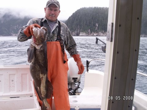 Ling Cod