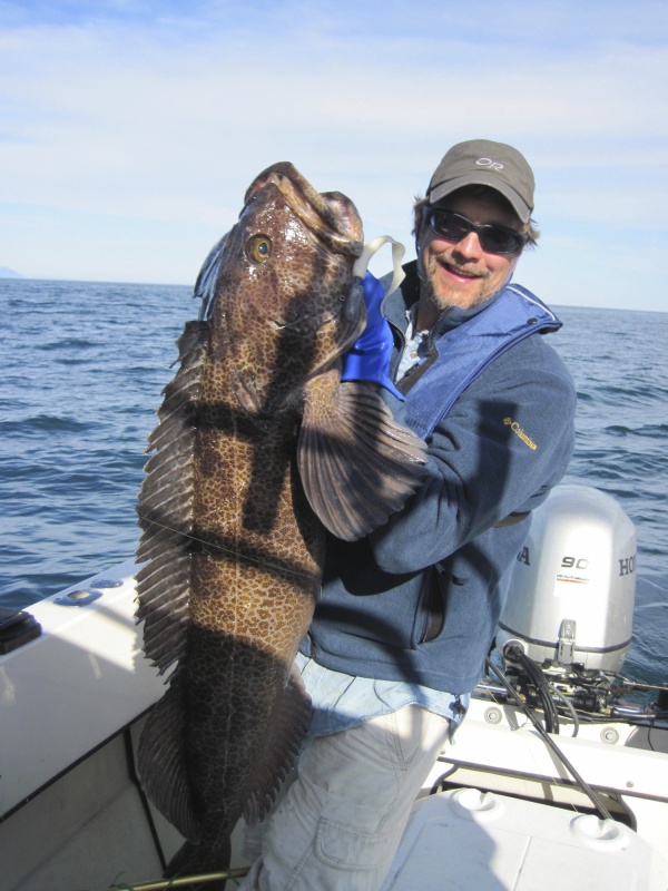 Lingcod!