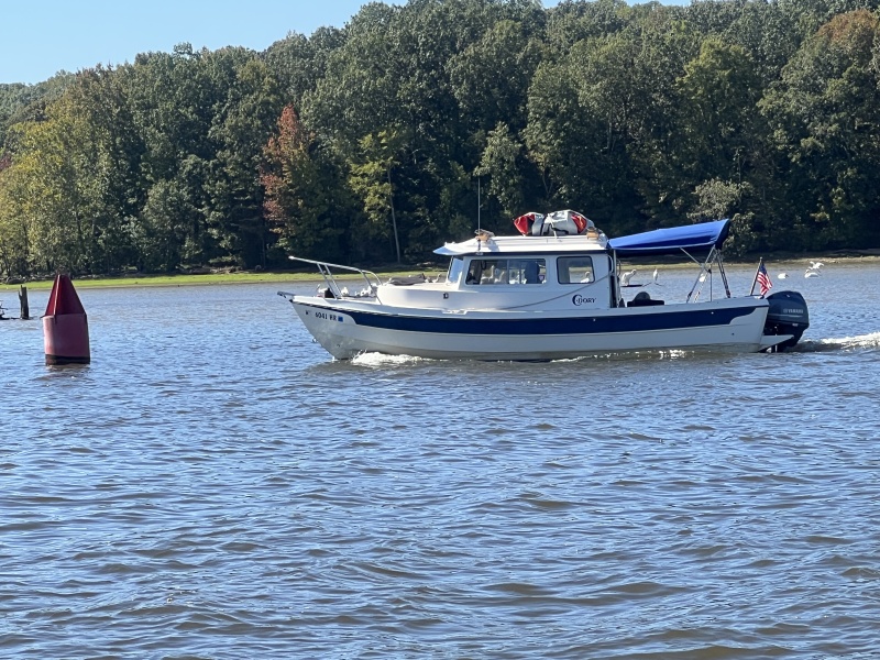 Little Joe and Pelicans