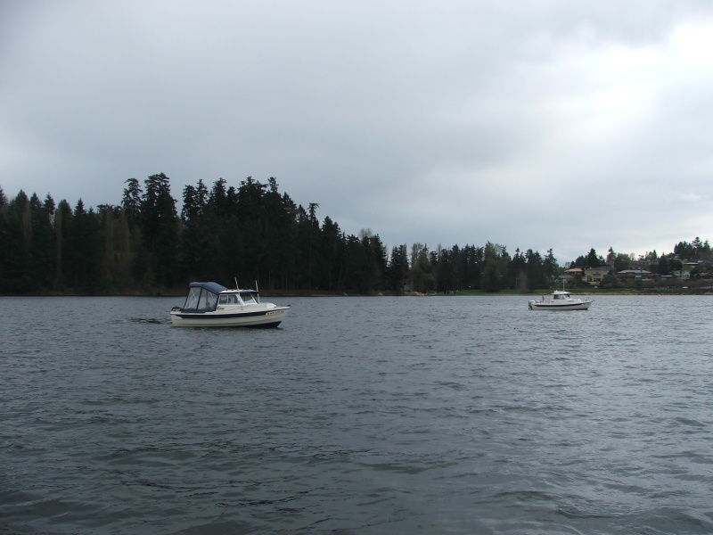 Lizzie & Sarks 16 in Andrews Bay