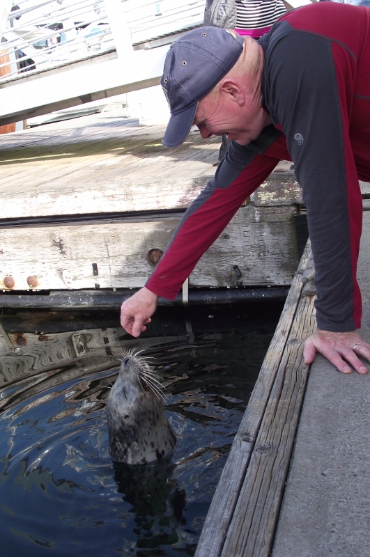 Local Celebrity \"Popeye\" at Friday Harbor