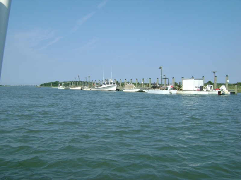Local fishing fleet