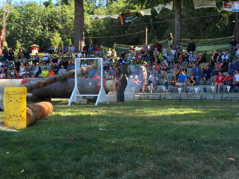 Logger Sports