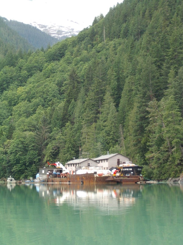 Logging operation at S Bentinck Narrows