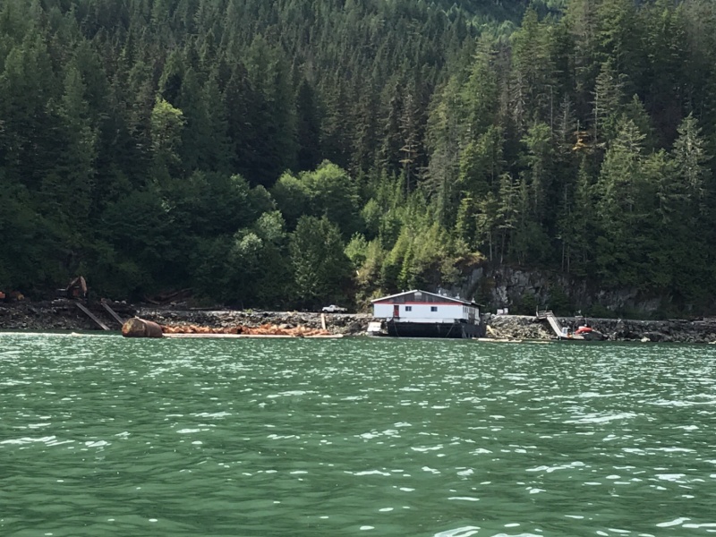 Logging operation in Brem Bay, Toba Inlet