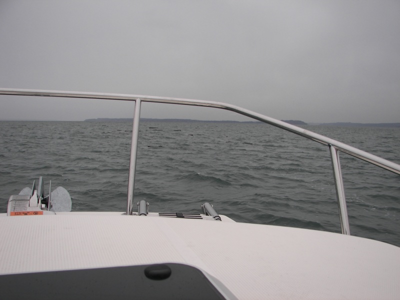 Logs Ahead! Seas climbing! Oh Boy!