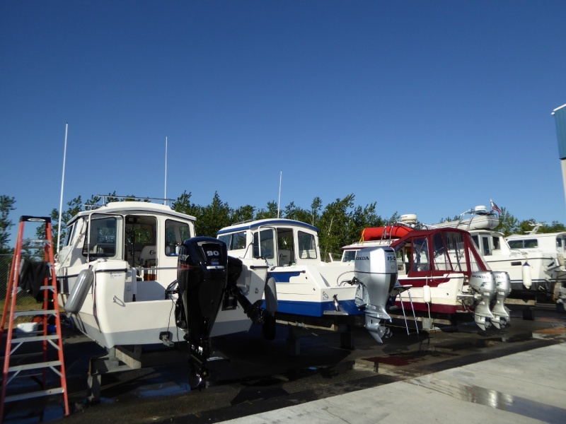 Look at that lineup - three C-dorys and a Sea Sport