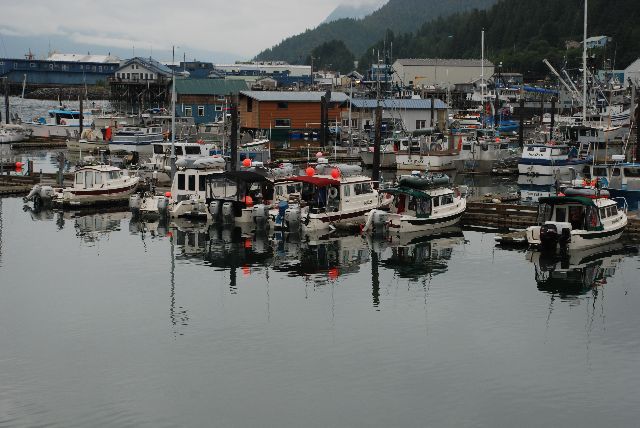 Look What Happend in Cordova.  6 C-Dory's and unplanned meeting.