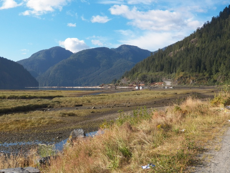 Looking across the river delta to the log sorting operation.