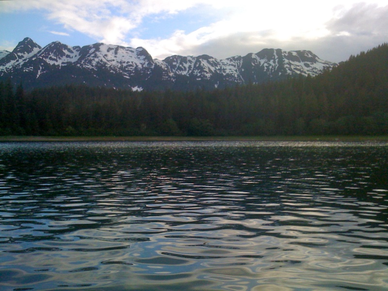 Looking for bears along the shore.  They stick to the tree line.  Hard to photograph.
