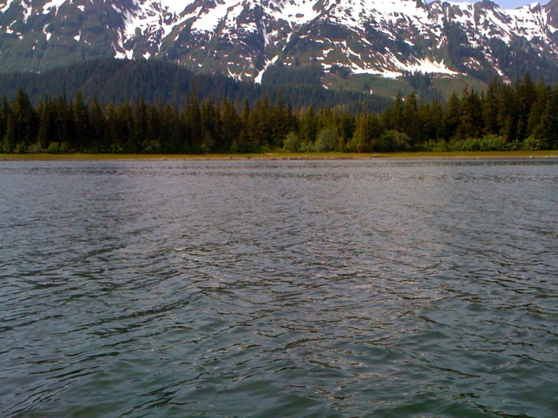 Looking for bears on shoreline