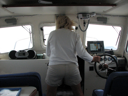 Looking for logs