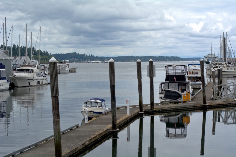 Looking out at Budd Inlet