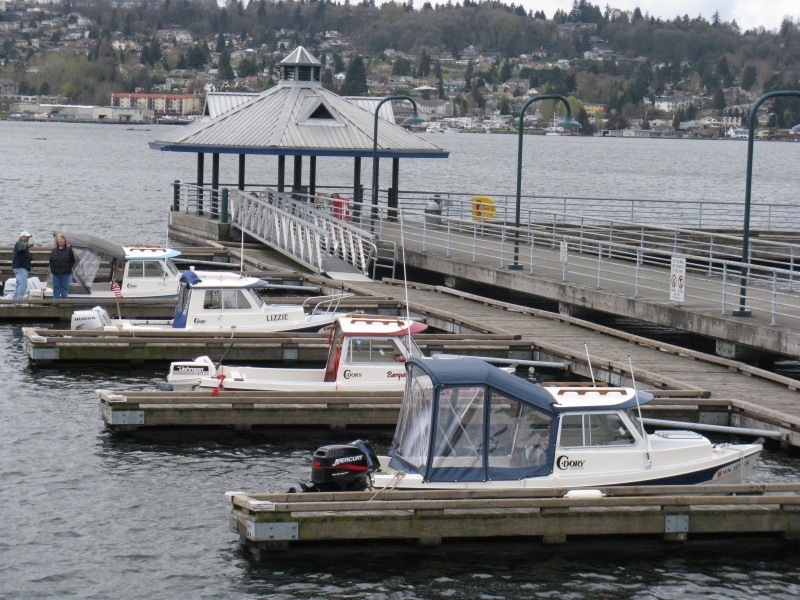 Looking out From Coulon