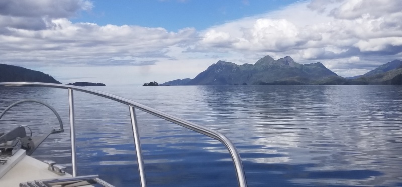 Looking out to Salisbury Sound