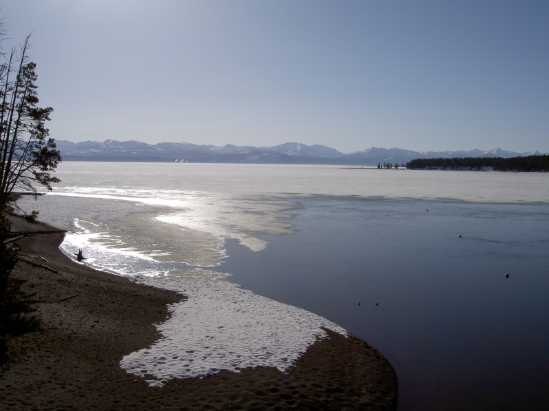 Looking  out  toward lake from Bay Bridge,  Bay Bridge Marina,  Yellowstone Lake     5-17-08