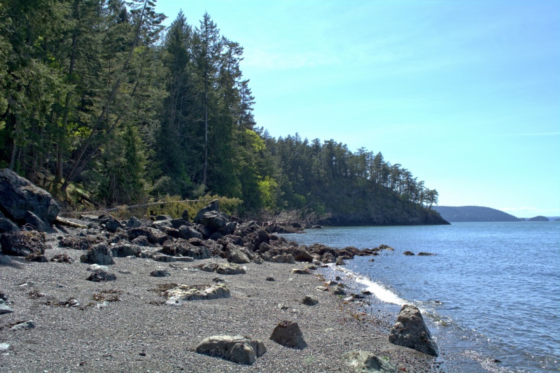 Looking south from Smugglers Cove