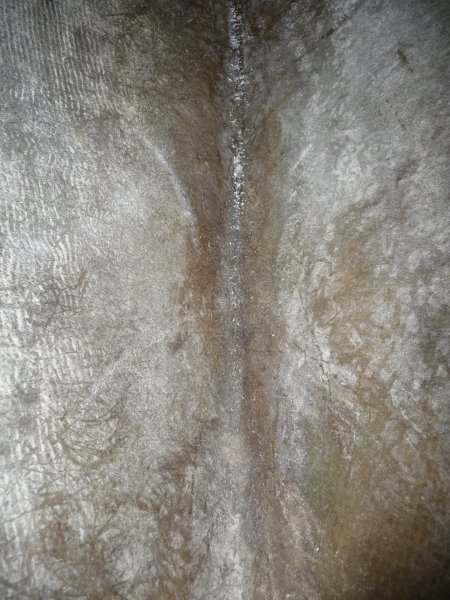 Looking straight down the access hole and at the inside of the stem.