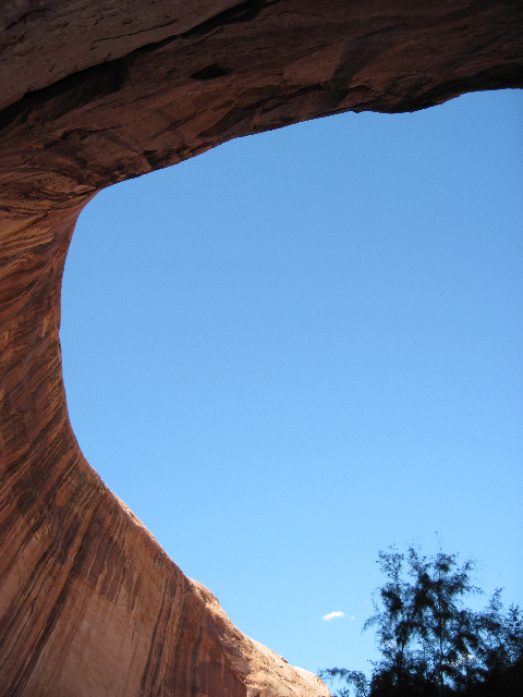 Looking Straight Up in Smith Fork Canyon 9-20-10