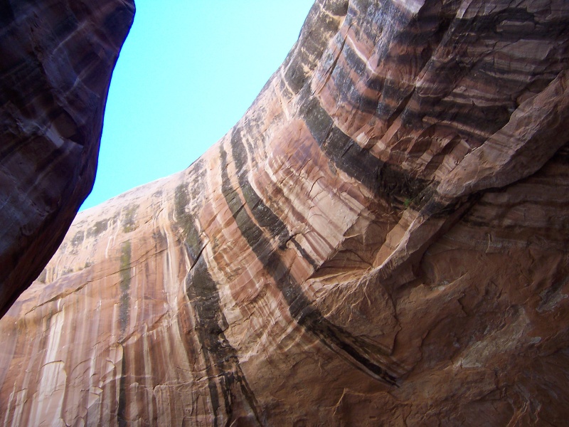 Looking up in Cathedral in the Desert 9-27