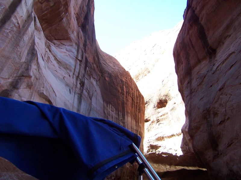 Looking up in Cathedral in the Desert 9-27