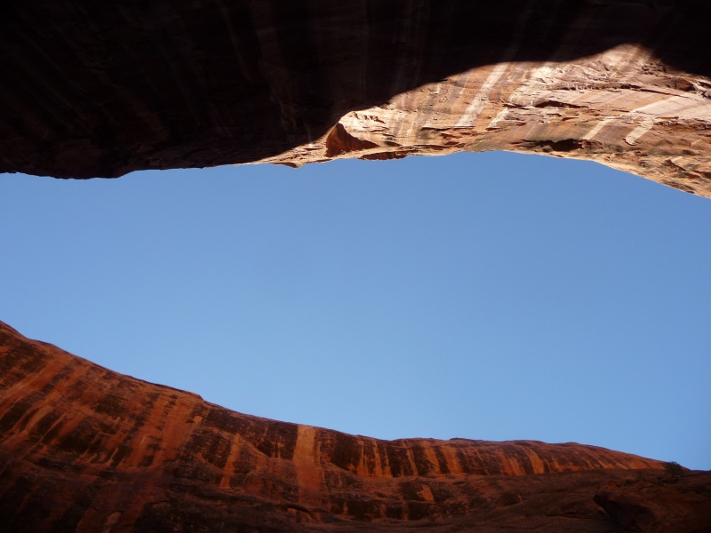 looking up in cathedral in the desert