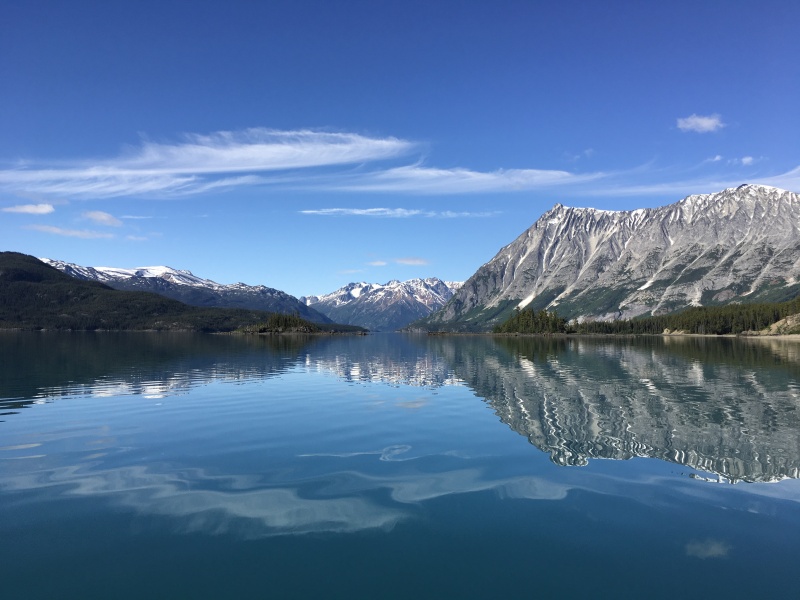 Looking up Williston Inlet