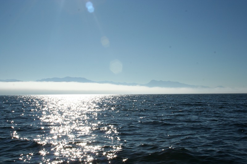 Looking west from Protection Island towards Sequim Bay