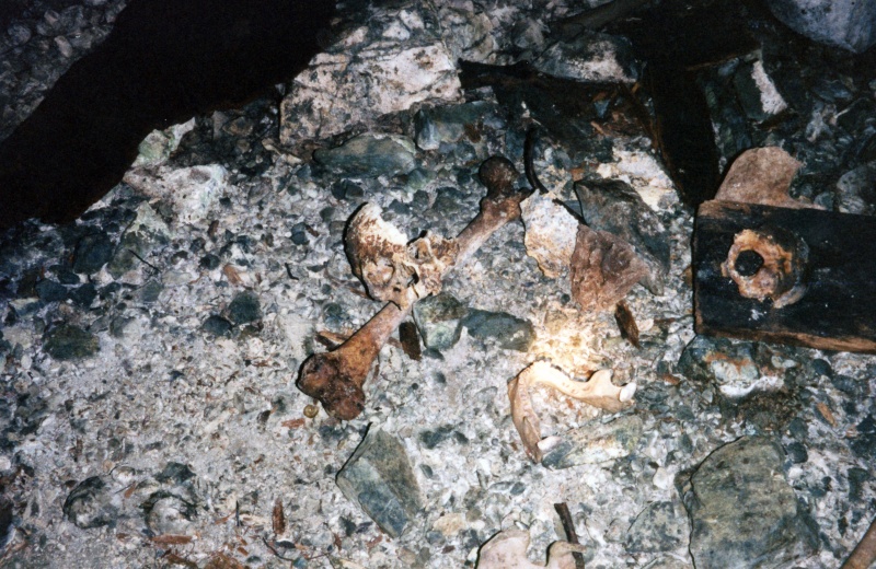 Looks like the skull of a baby and the bone of an adult.  This cave may have been filled during one of the small pox epidemics.