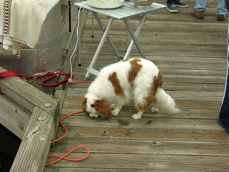 Lopez 07. First to the food table
