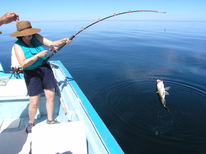 Lori hauls in a fish. We caught 20 of these little buggers (several different species.)