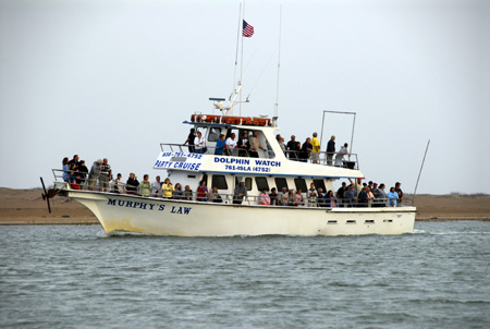 Lots of dolphin watchers