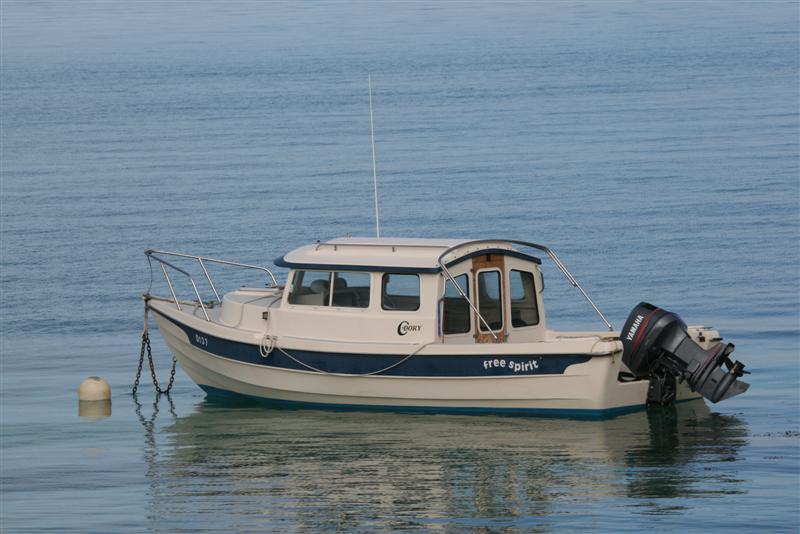 Love at first sight-when I first saw the C-Dory.