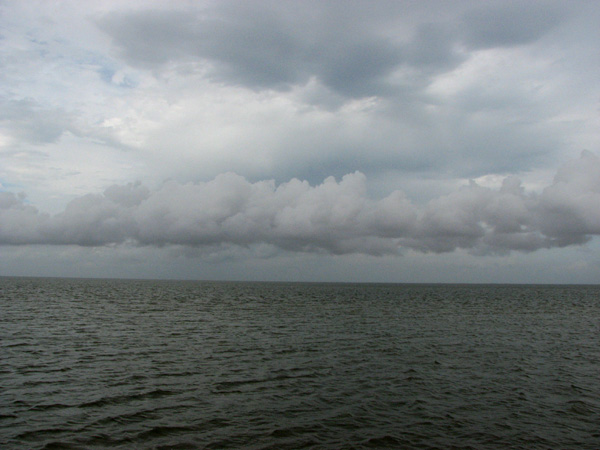 Low clouds... and REALLY humid