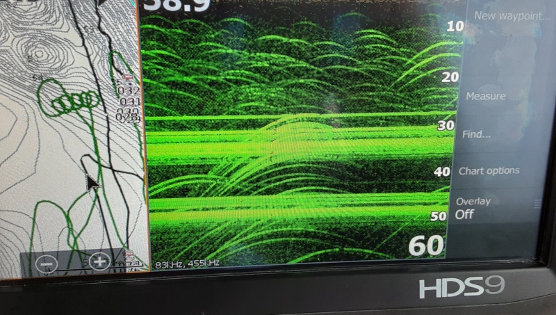 Lowrance Gen2 Display sample. YES all those marks are fish under Fresh Fish!