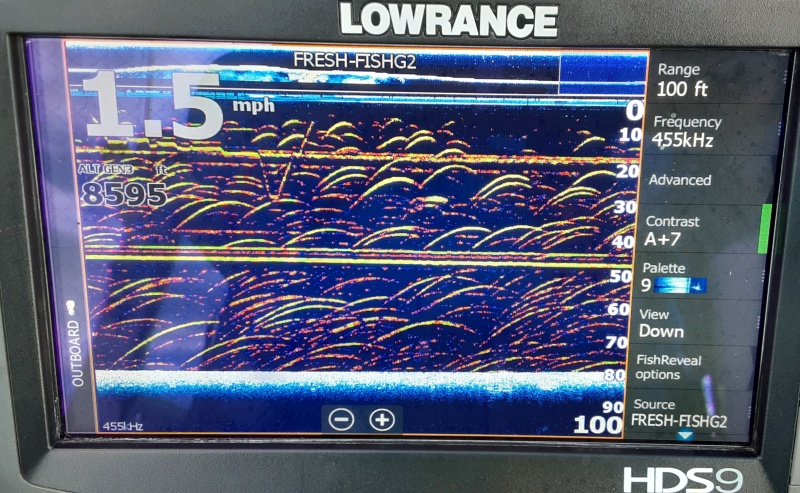 Lowrance Gen2 structure scan photo