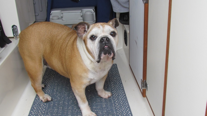 Lucy