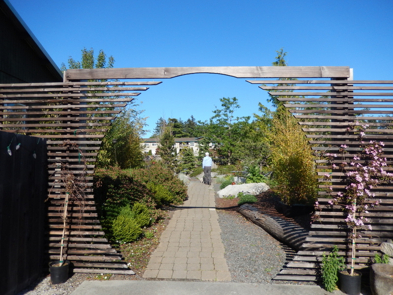 Lyle entering the patio of the Backdoor Kitchen, a renowned restaurant in Friday Harbor