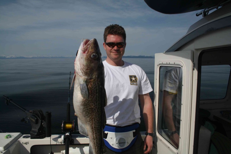 Maiden Voyage - Gray Cod