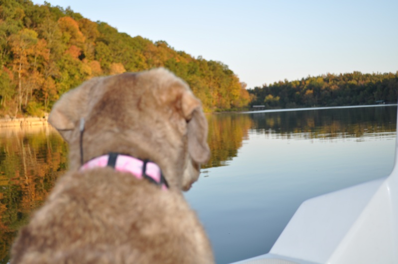 Mallory checking out the view