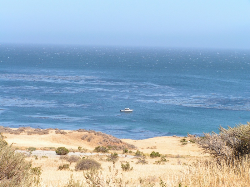 Man our boat looked small (and we felt small), you can see the wind starting to kick up further out, and we're STILL ON SHORE...!