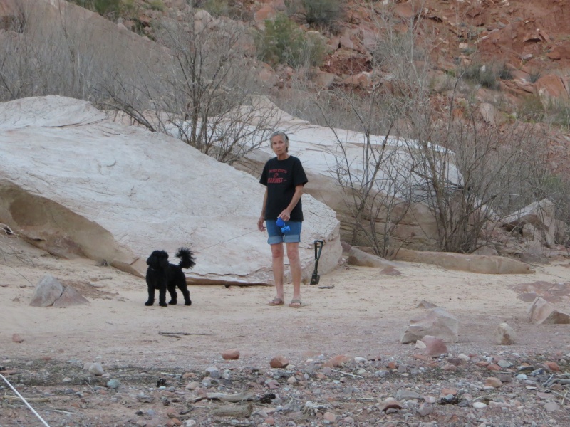 Marie (thisaway) and Angel the black poodle