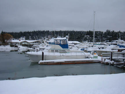 Marina is frozen over