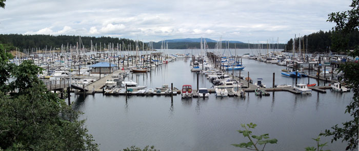 marina view at Friday Harbor