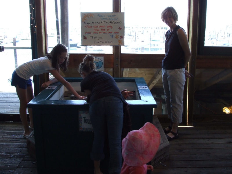 Marine Science Touch Tank