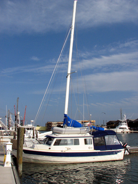 Mast up on the C-Dory!