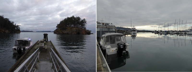 Matia and Bellingham Xmas 2018