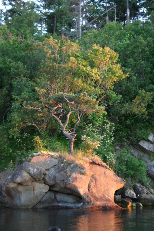 matia island