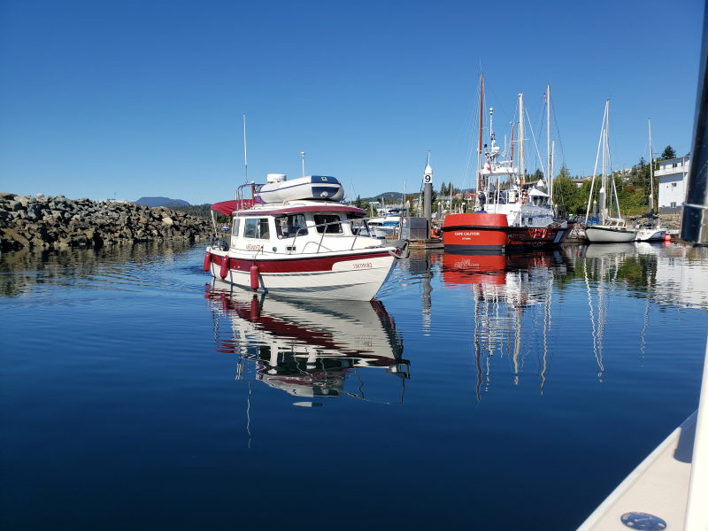Meander coming in to say Hi. At Powell River.