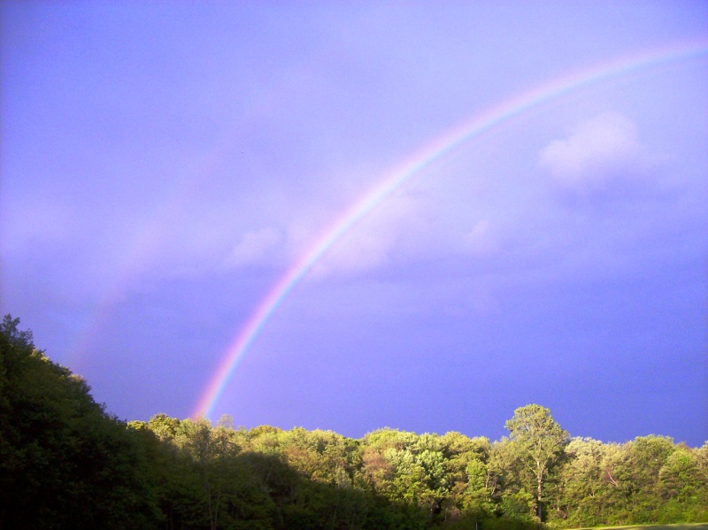 Mem Day Rainbow